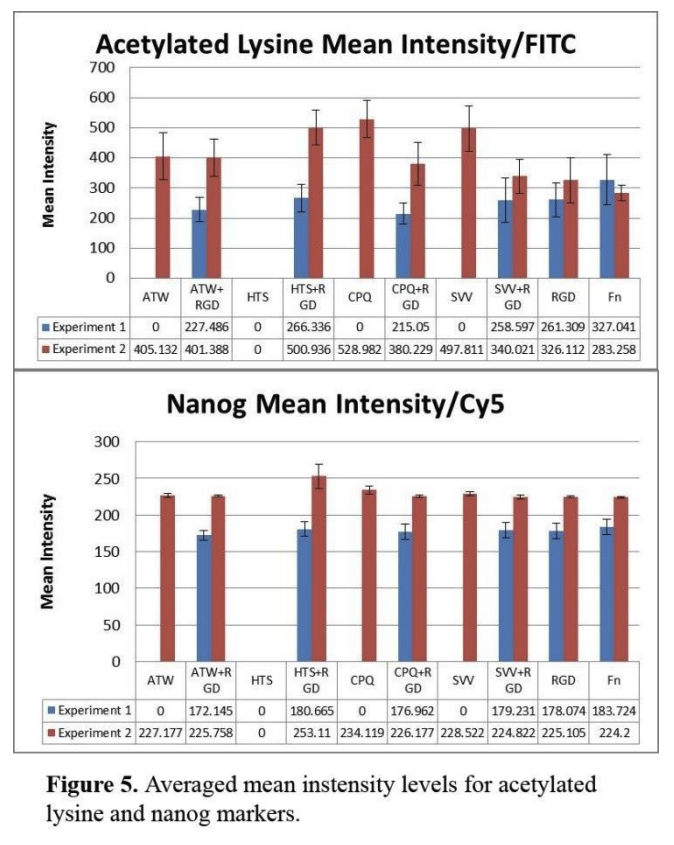 averaged mean intensity levels for acetylated lysine and nanog markers.